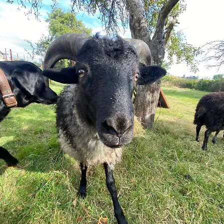 Spurensucher Quartier * Usedom Town