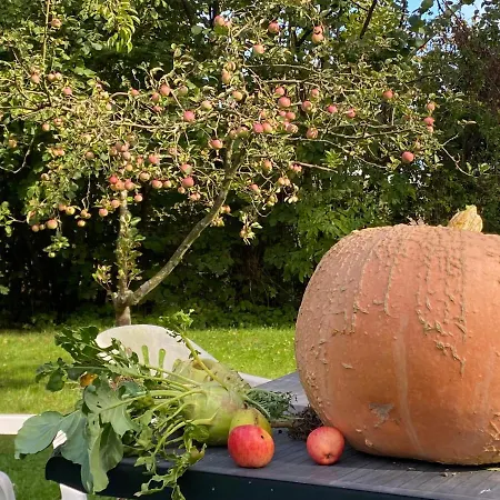 Spurensucher Quartier * Usedom Town