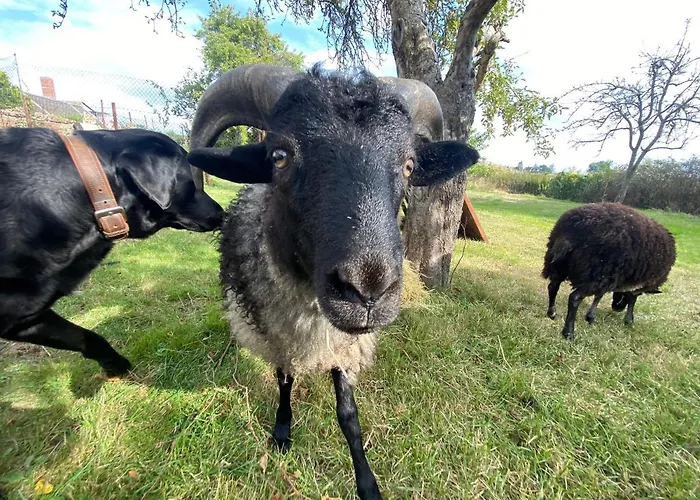 Spurensucher Quartier * Usedom Town